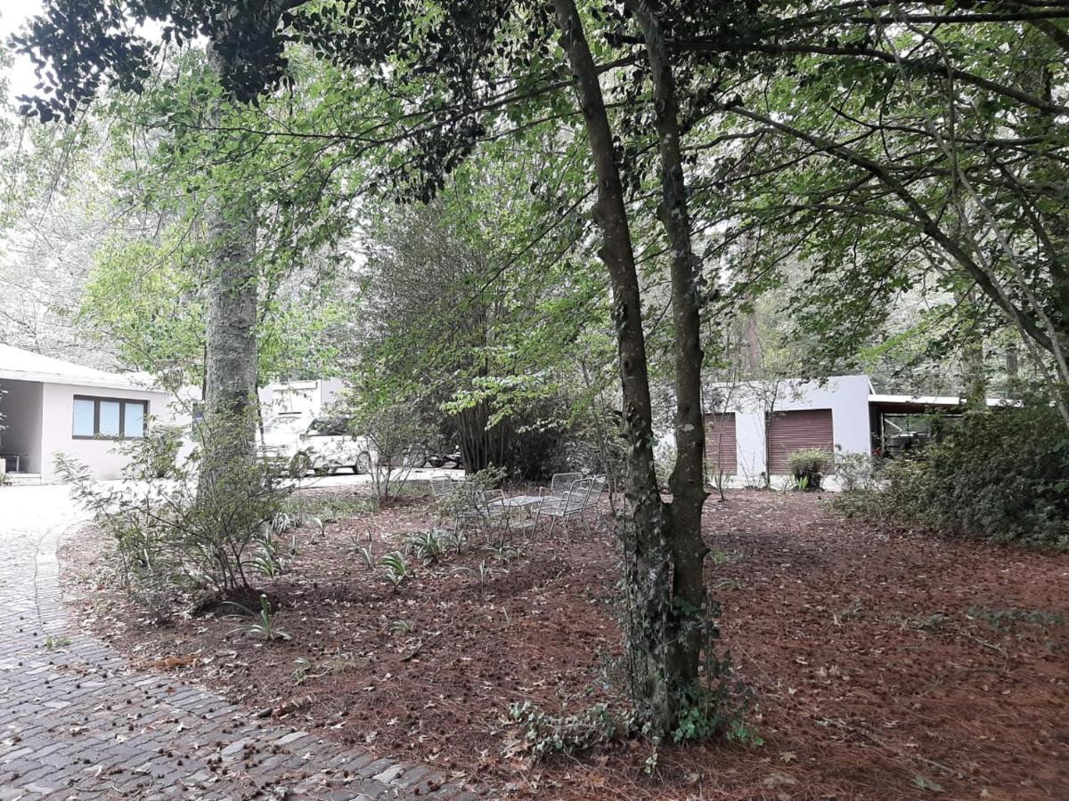 Camroshell Hotel Hogsback Exterior foto
